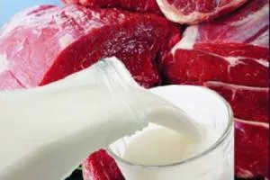 Мясные и молочные продукты полезны для зубов Мясные и молочные продукты полезны для зубов