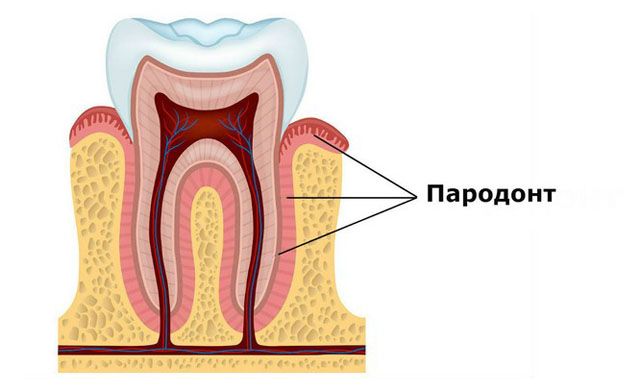 Тер.Пародонт_1.jpg